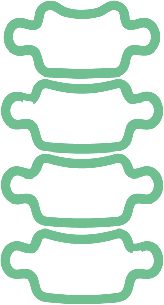 Wirbelsäule
